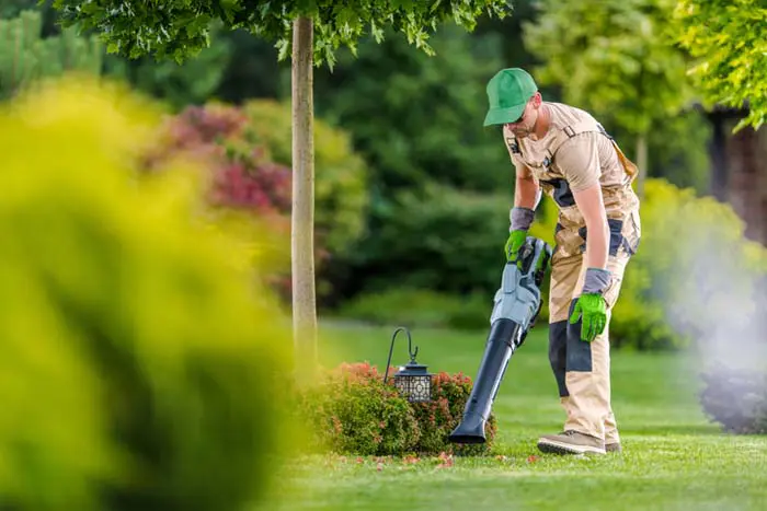 Landscaping