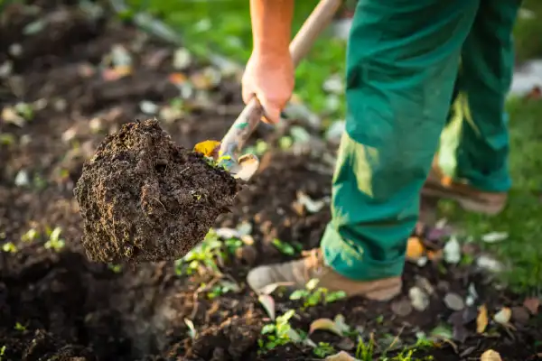 Reliable Mulching in Beaverton OR