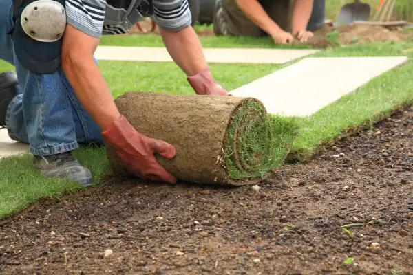 Reliable Sod Installation