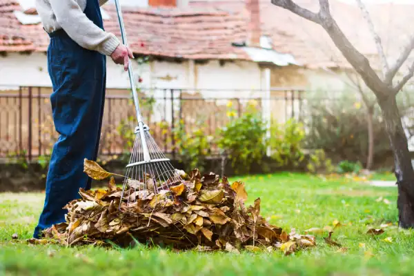 Reliable Yard Cleanup