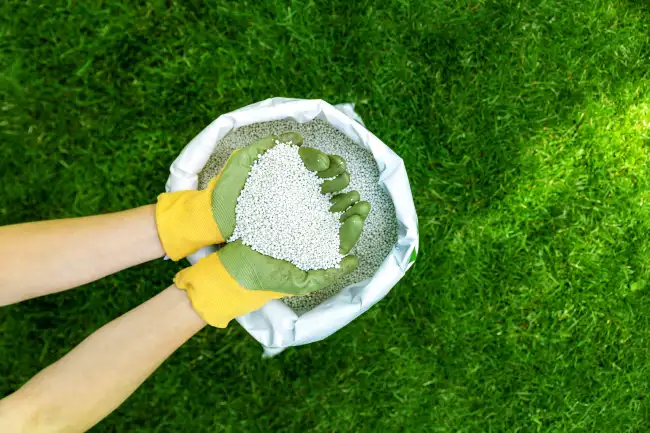 Professional Lawn Fertilization in Beaverton, OR