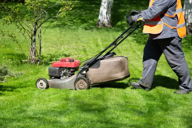 Professional Lawn Mowing in Beaverton OR