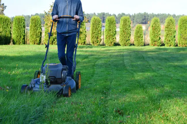 Affordable Lawn Mowing in Beaverton OR