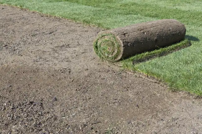 Reliable Sod installation in Beaverton, OR