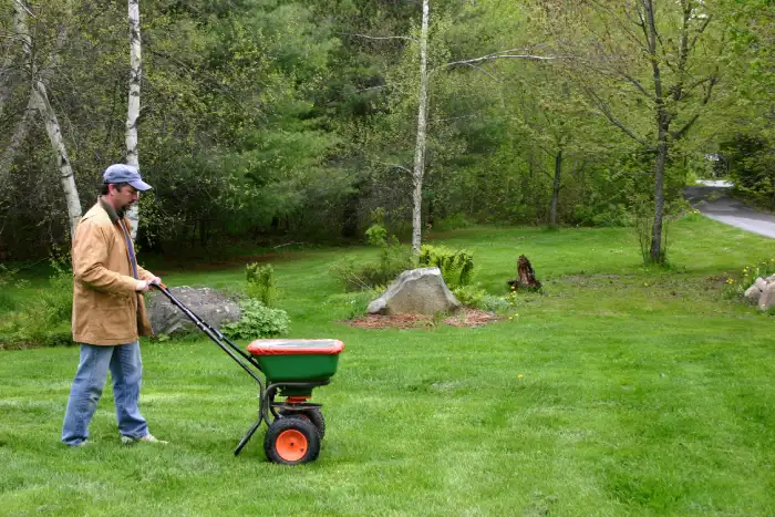 Affordable yard cleanup in Beaverton OR