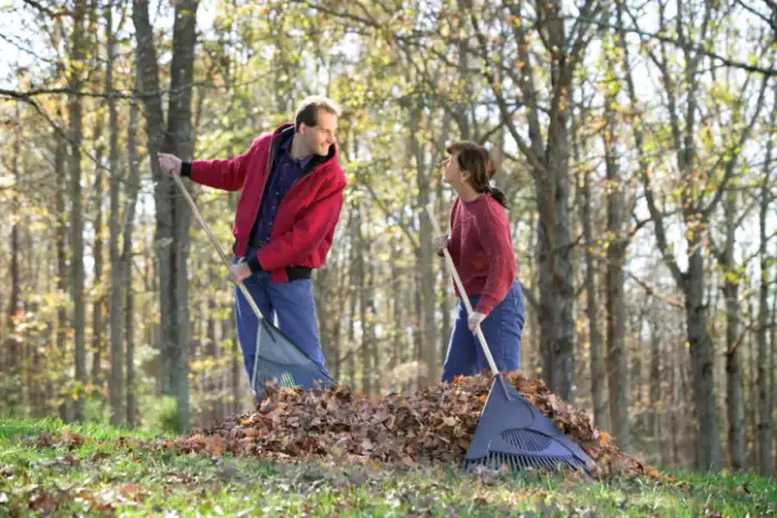 Professional yard cleanup in Beaverton OR